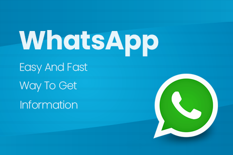 WhatsApp Contact Line